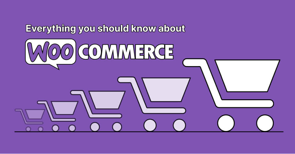 WooCommerce and Alternative E-Commerce Solutions